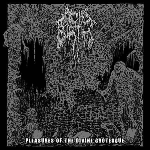 Acid Birth - Pleasures Of The Divine Grotesque (Vinyl)