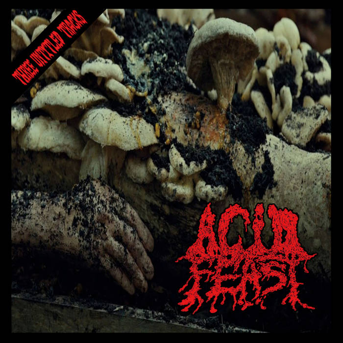 Acid Feast - Three Untitled Tracks
