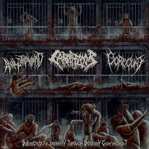 Anal Stabwound / Carnifloor / Gorecunt - Subjected to Insanity through Solitary Confinement