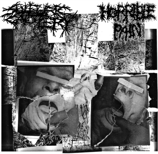 Horrible Pain / Sulfuric Cautery - Split (Vinyl)