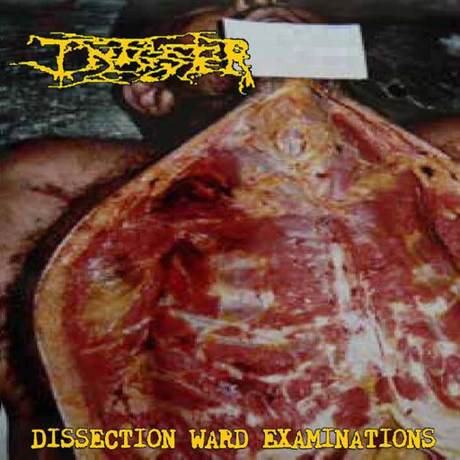 Infester - Dissection Ward Examinations (Vinyl)