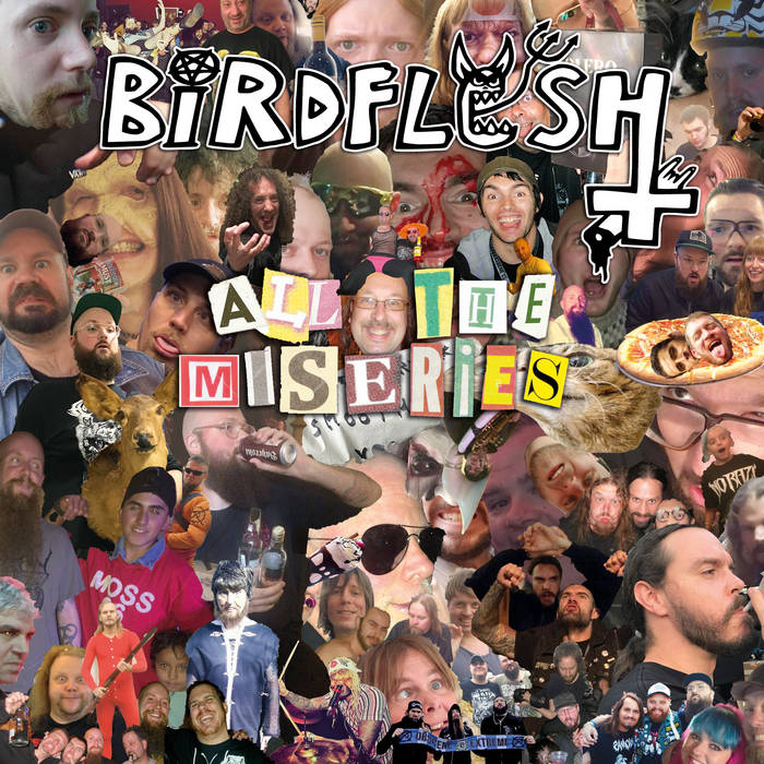 Birdflesh - All The Miseries