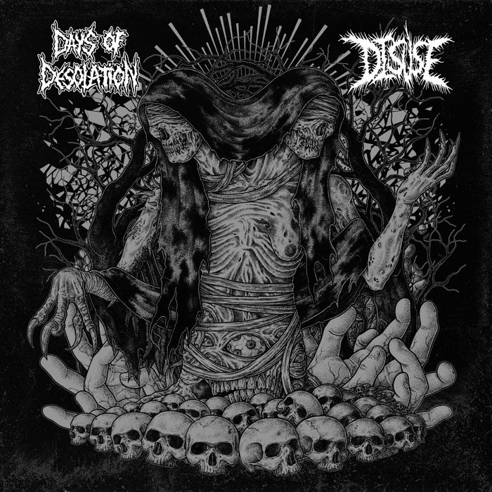 Days of Desolation / Disuse - Split (Vinyl)
