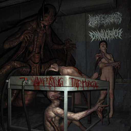 Nasty Surgeons / Carnivoracy - Infesting the Morgue (Vinyl)