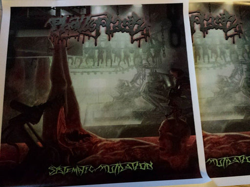 Phalloplasty - Systematic Mutilation (Vinyl Poster)